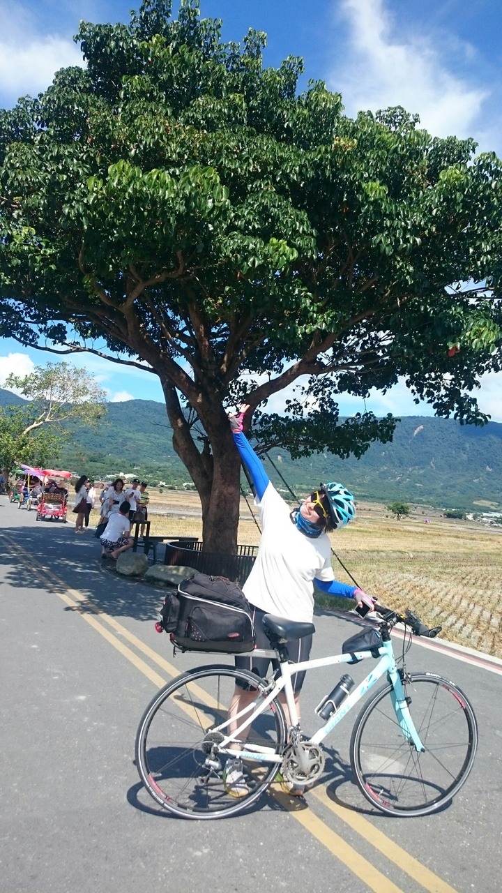 騎腳踏車環島Part8-超chill的台東之搭便車初體驗
