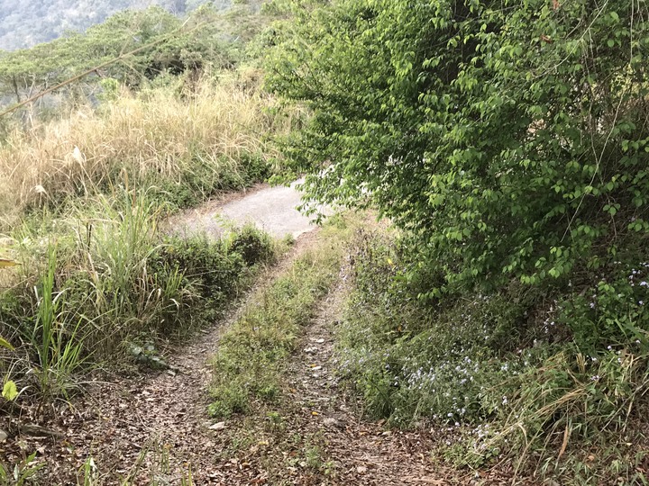 週週環島－－龍泉部落與南興部落(本月第四圈）