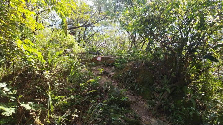 [樂山童盟] [新北鶯歌] 鶯歌石山-牛灶坑山-龜公山