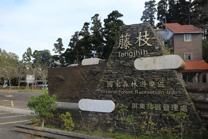 高雄人久等了!南台灣小溪頭「藤枝國家森林遊樂區」5月開園