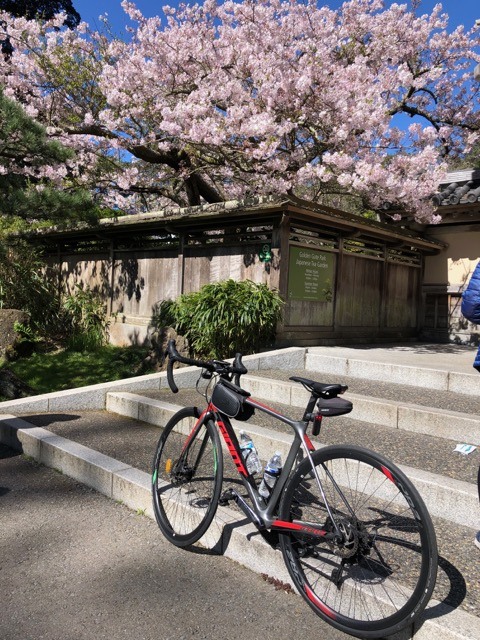 (2021春) 🚴🇺🇸 舊金山一日輕騎: 金門公園 - 金門大橋 - 美術宮