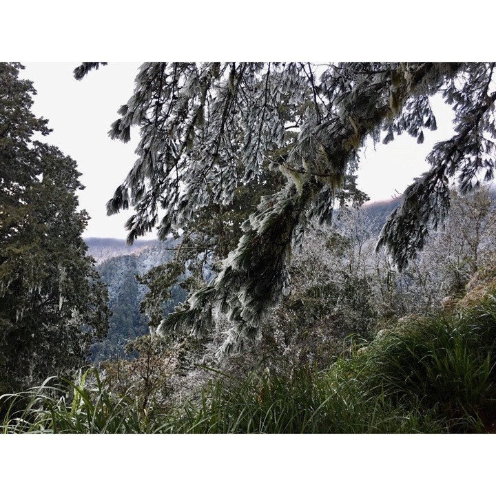 【寒流來了，我要活下去】｜能高越嶺古道(結冰環境硬要睡單層帳)