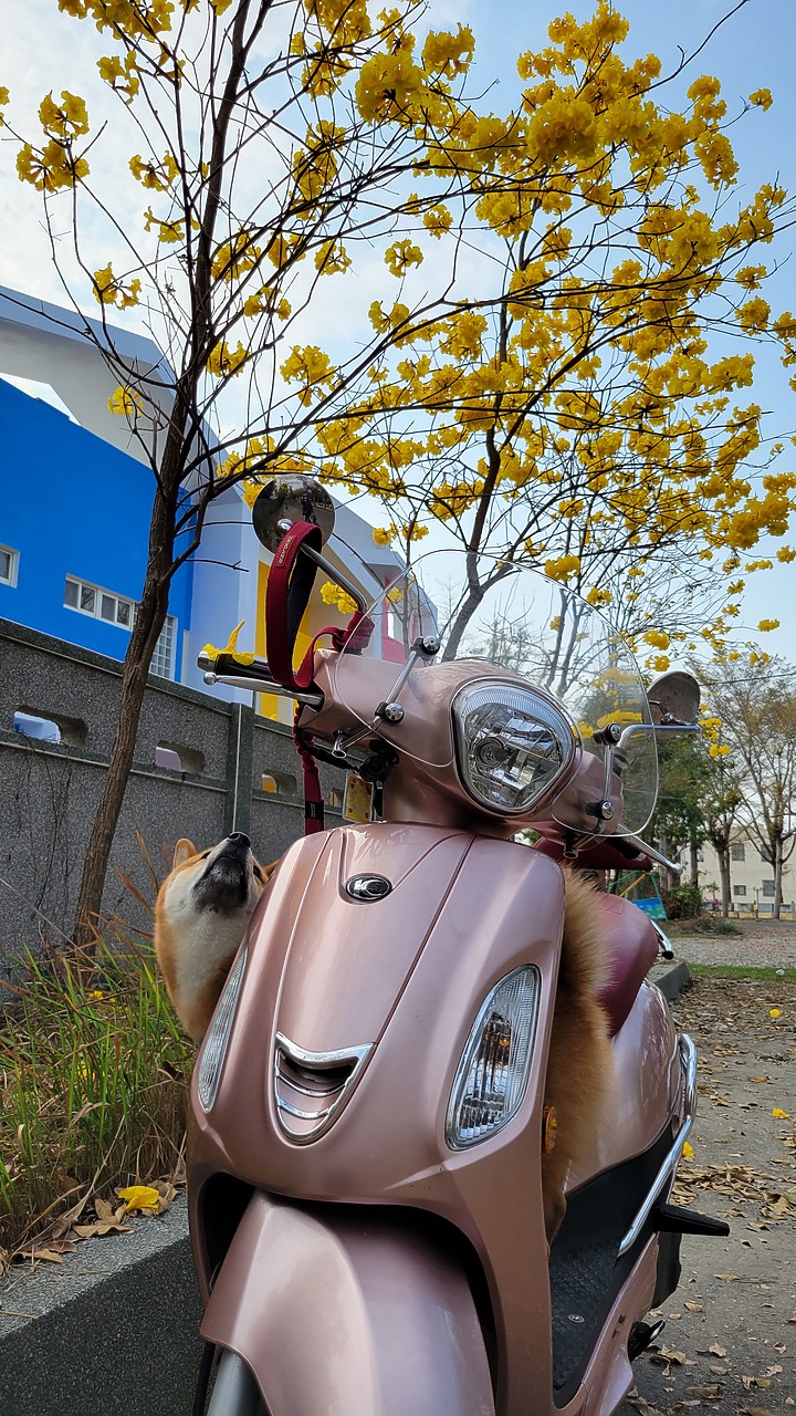 開箱~ 飛樂 M96 主機防撥水 + GPS 前後行車紀錄器