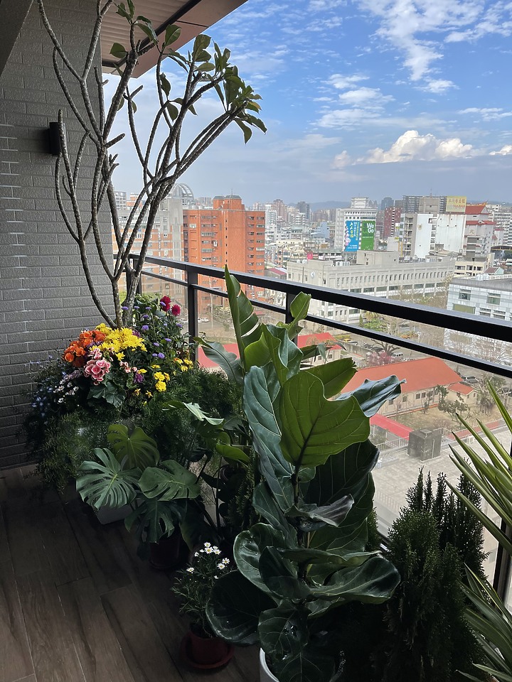 【開箱】台中-兩人兩狗的現代簡約宅