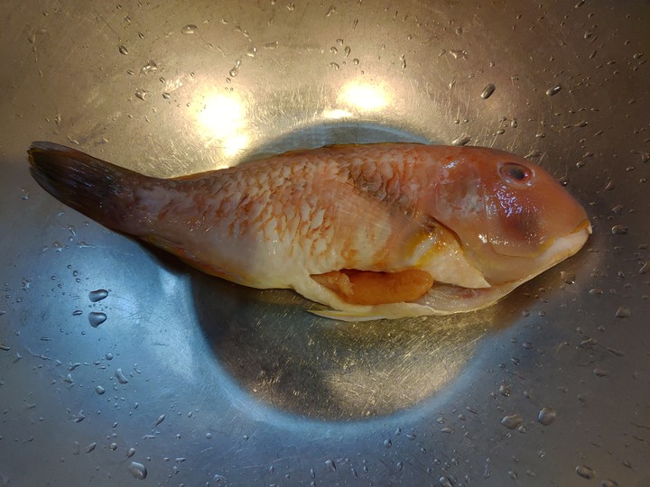 出外艱苦人的簡易晚餐一條很凶的魚