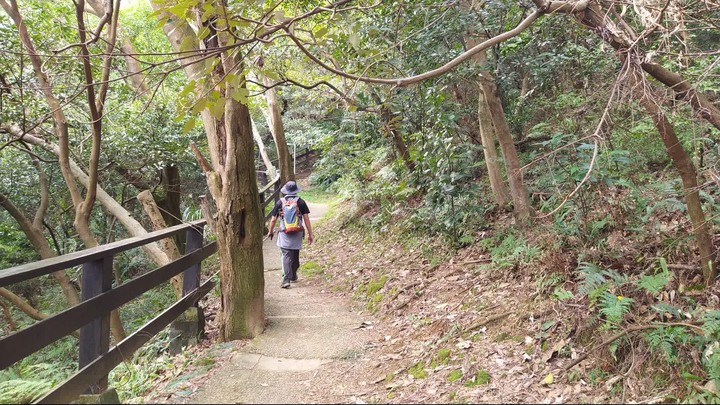 [樂山童盟] [新北鶯歌] 鶯歌石山-牛灶坑山-龜公山