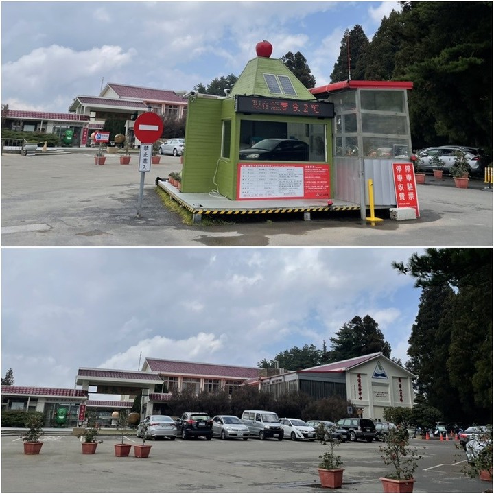 先前櫻花潮沒跟上？把握台灣最高「櫻花園」，千棵櫻花綻放中