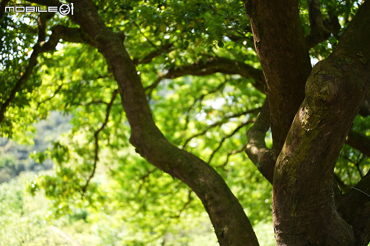 Sony 50mm f/1.2GM 鏡頭製造技術的實力展現