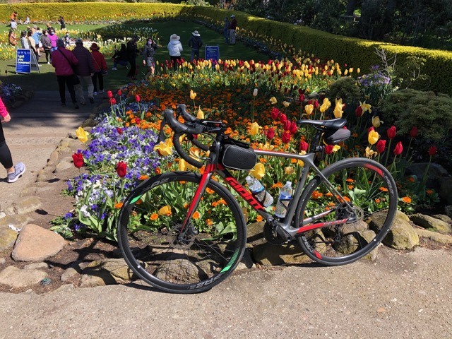 (2021春) 🚴🇺🇸 舊金山一日輕騎: 金門公園 - 金門大橋 - 美術宮