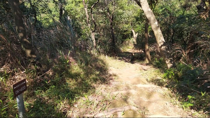 [樂山童盟] [新北鶯歌] 鶯歌石山-牛灶坑山-龜公山