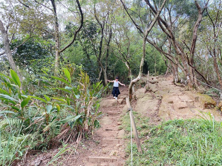 新北鶯歌｜孫龍步道-牛灶坑山-鶯歌石．鶯歌地名的由來，親子路線推薦