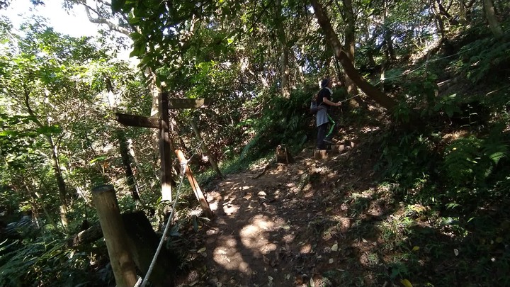 [樂山童盟] [新北鶯歌] 鶯歌石山-牛灶坑山-龜公山