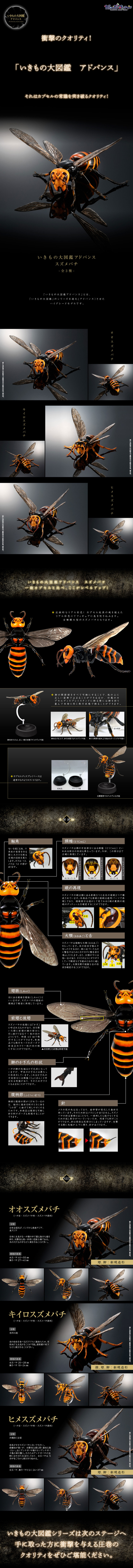 擬真轉蛋 生物圖鑑ADVANCE 黃蜂 台灣萬代官方線上轉蛋網站 GASHAPON ONLINE TAIWAN 開放訂購！