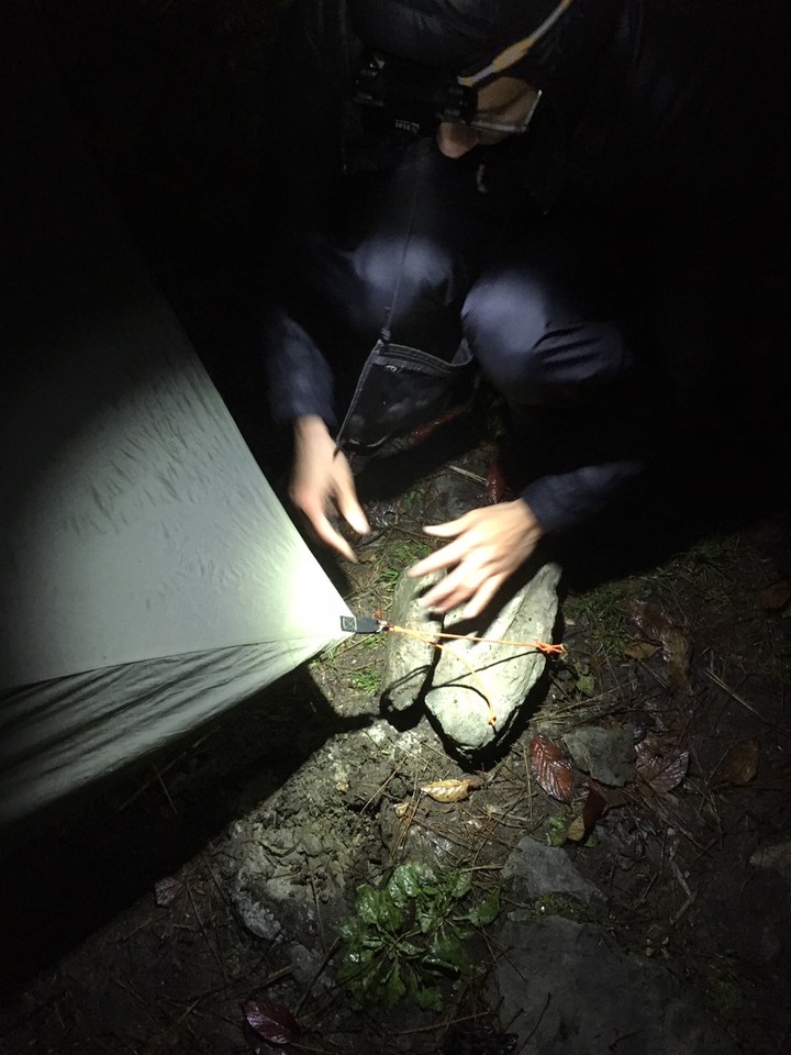 【寒流來了，我要活下去】｜能高越嶺古道(結冰環境硬要睡單層帳)