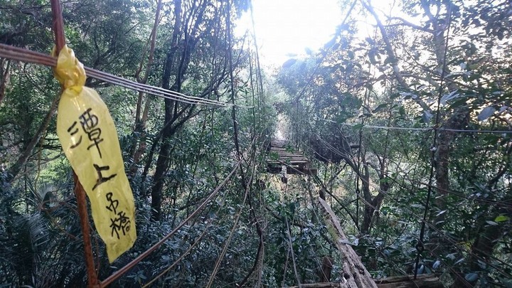 仁愛鄉 武界萬豐 吊橋全探索!
