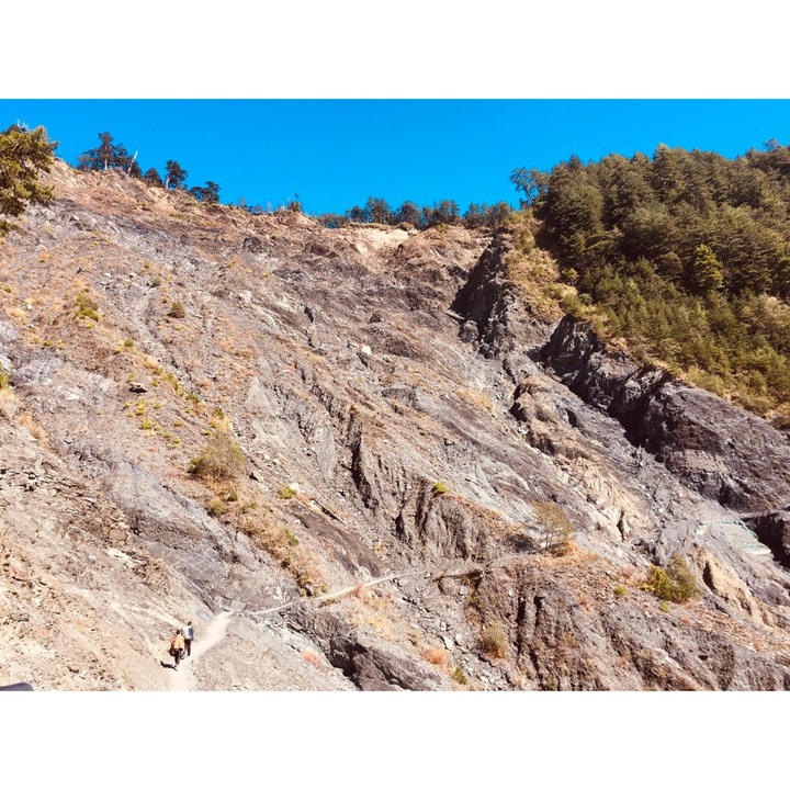 【寒流來了，我要活下去】｜能高越嶺古道(結冰環境硬要睡單層帳)