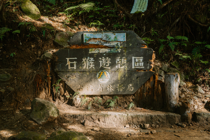 [Z6]  眠月線與水漾森林｜毀滅後的美麗重生