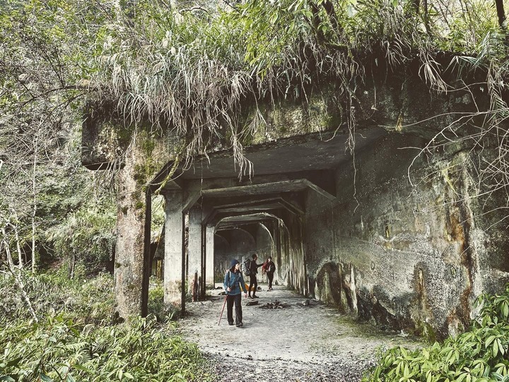 【寒流來了，我要活下去】｜能高越嶺古道(結冰環境硬要睡單層帳)