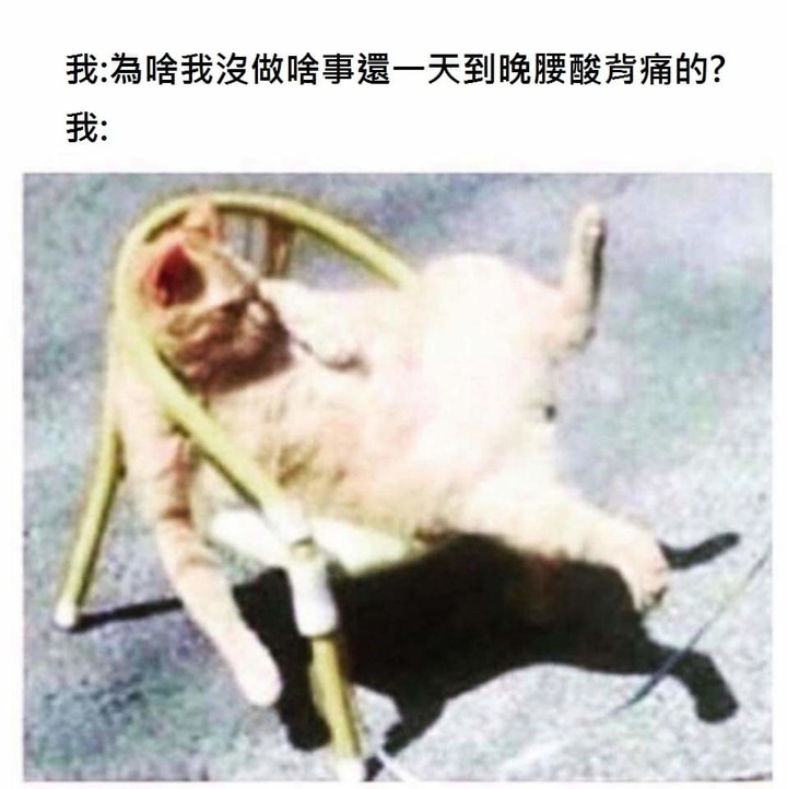 【開箱】10年保固100天試睡,想窩床墊的豐富內涵與高級品質!