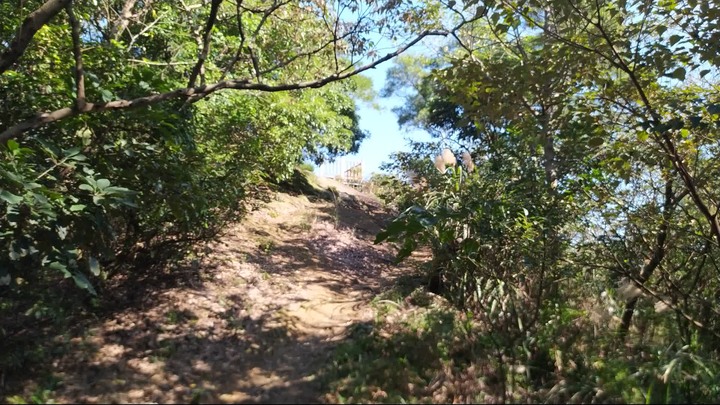 [樂山童盟] [新北鶯歌] 鶯歌石山-牛灶坑山-龜公山