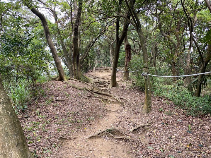 新北鶯歌｜孫龍步道-牛灶坑山-鶯歌石．鶯歌地名的由來，親子路線推薦