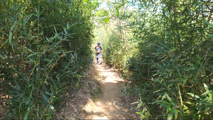 [樂山童盟] [新北鶯歌] 鶯歌石山-牛灶坑山-龜公山