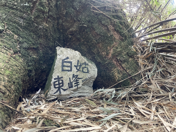 2021.02.27-03.01中橫健行心路線