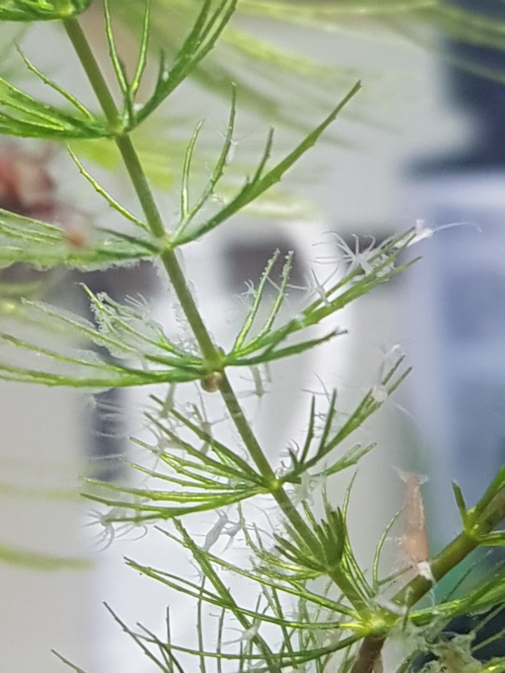 這是什麼奇怪生物？