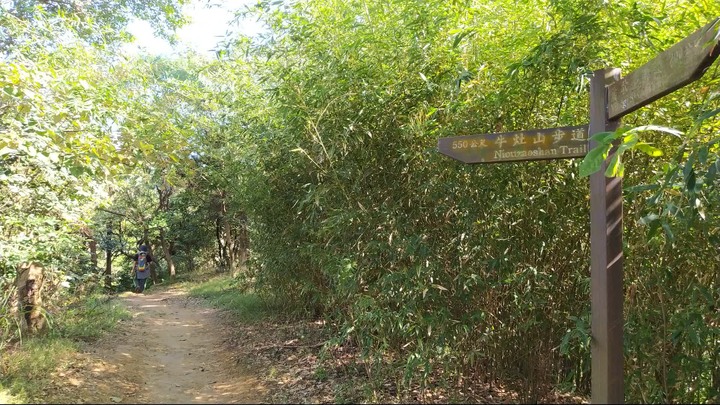 [樂山童盟] [新北鶯歌] 鶯歌石山-牛灶坑山-龜公山