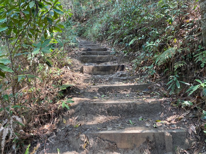 台中和平｜東卯山．平緩蓊鬱山林，七雄裡登頂展望最佳