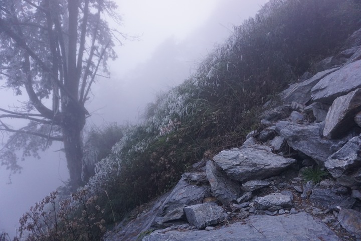 【寒流來了，我要活下去】｜能高越嶺古道(結冰環境硬要睡單層帳)