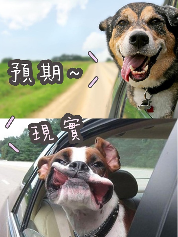 深度試駕VOLVO V60 T8