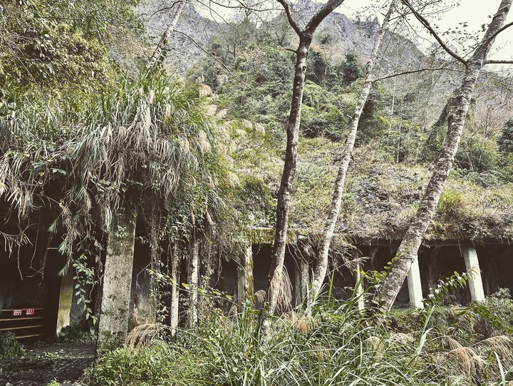 【寒流來了，我要活下去】｜能高越嶺古道(結冰環境硬要睡單層帳)
