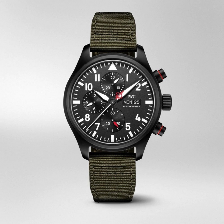 IWC-TOP GUN活動