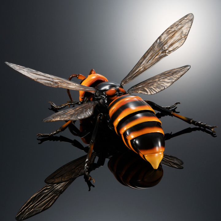 擬真轉蛋 生物圖鑑ADVANCE 黃蜂 台灣萬代官方線上轉蛋網站 GASHAPON ONLINE TAIWAN 開放訂購！