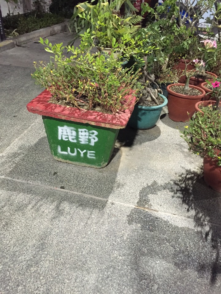 騎腳踏車環島Part8-超chill的台東之搭便車初體驗