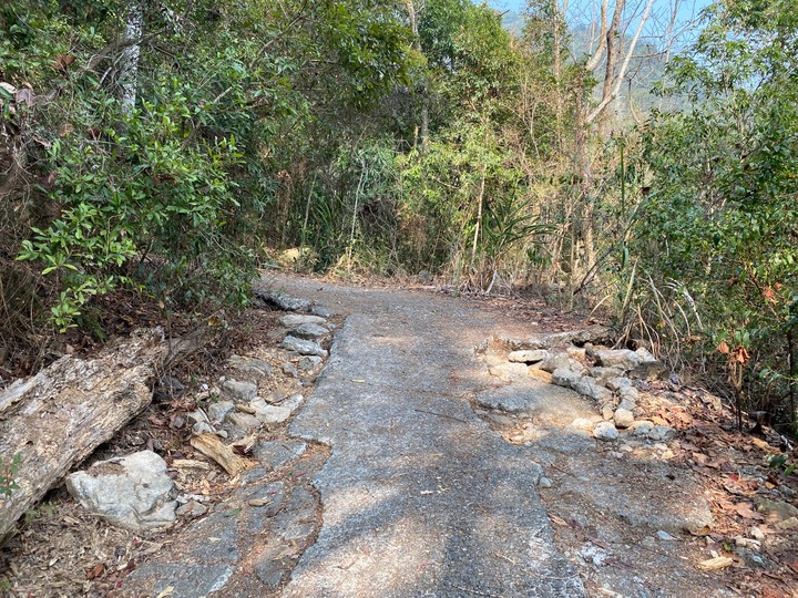 台中和平｜東卯山．平緩蓊鬱山林，七雄裡登頂展望最佳