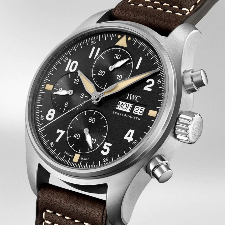 IWC-TOP GUN活動