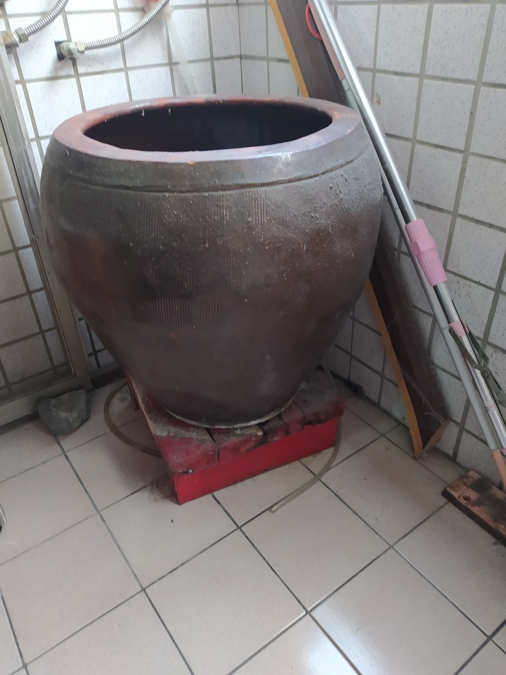 用陶瓷米缸養魚