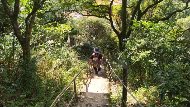 [樂山童盟] [新北鶯歌] 鶯歌石山-牛灶坑山-龜公山