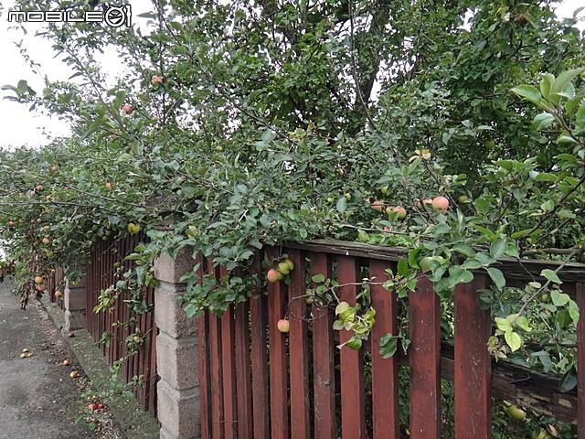【終點｜未完。待續．瑞士】：2011年｜一個女生「西歐六國」單車跨國之旅（６）