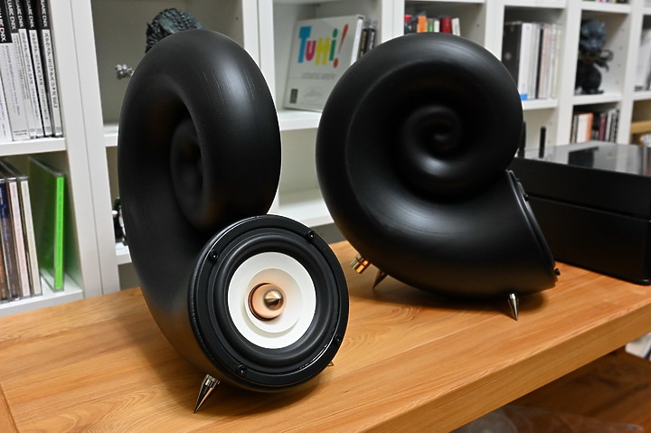 從0開始的土炮鸚鵡螺與真空管擴