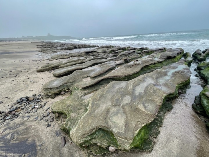 Forester北海岸半日春遊記：幽浮船廢墟、老梅石槽、老梅迷宮