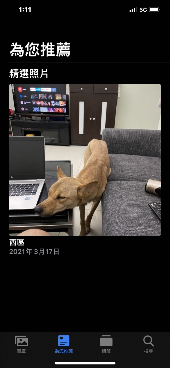 相簿內的人物不會顯示