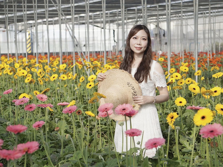 帶媽媽來看花海!彰化「董家花田」康乃馨悄悄盛開中!