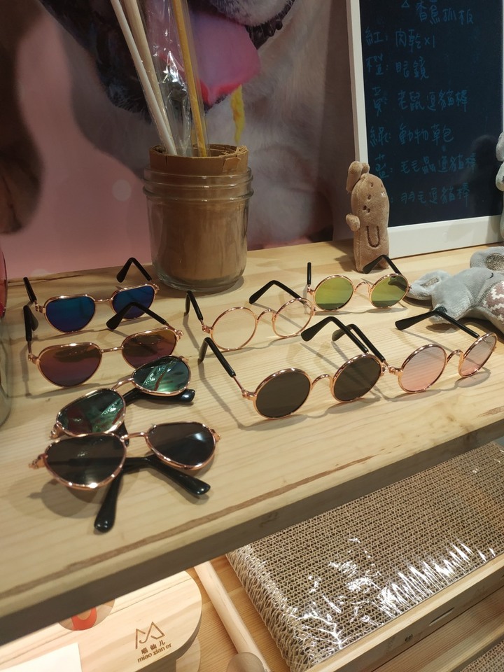 連假第一天衝寵物展補貨