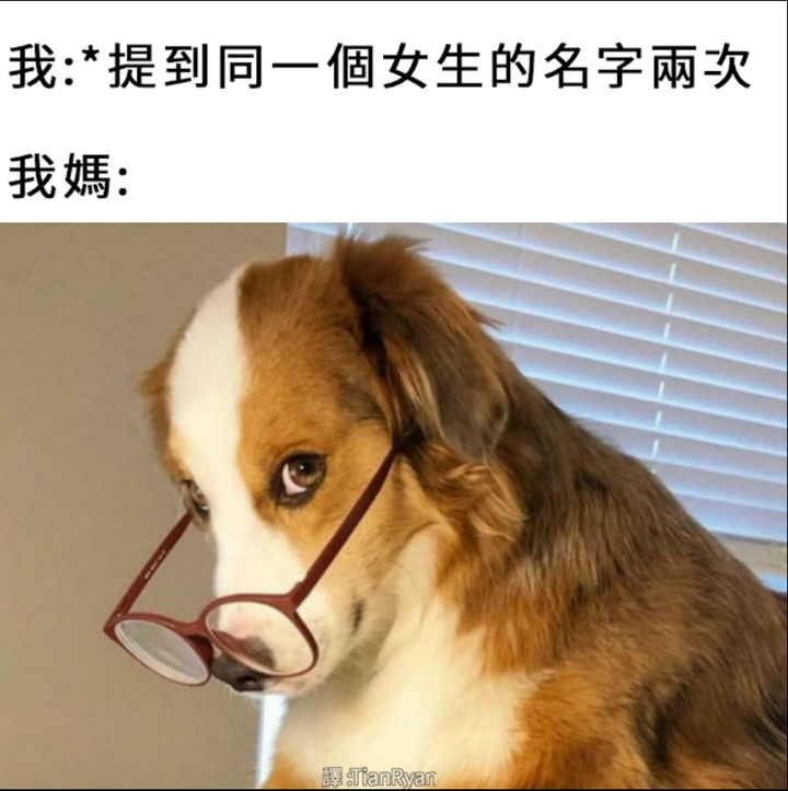 兩性趣圖 🐻🐻