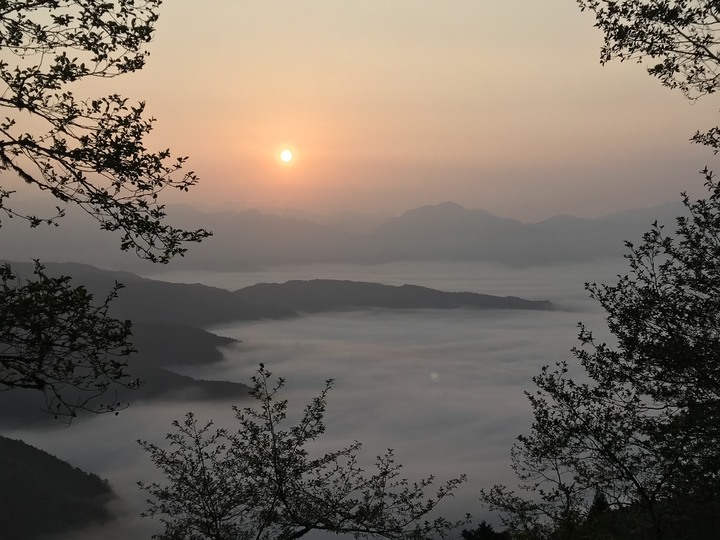 連假天天進出太平山+路考x2
