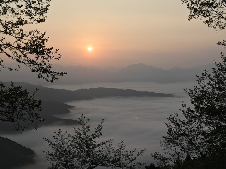 連假天天進出太平山＋路考x2