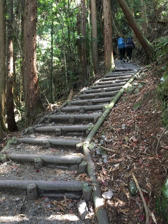 世紀奇峰-大霸群峰之旅